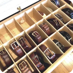 Belt Rack in modern wardrobe accessories
