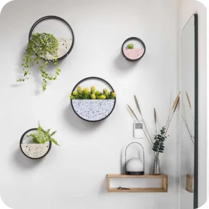 Circular Wall Flower Vase in Nifty Kitchen Accessories