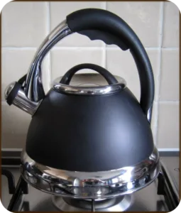 Electric Kettles in Culinary Accessories