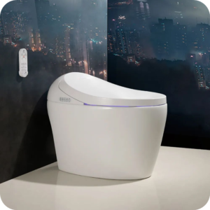 Smart Toilet Seats