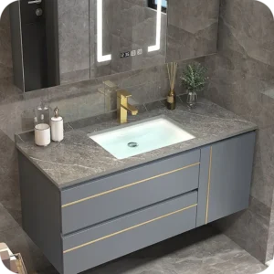 Sink Type and Installation in bathroom vanity