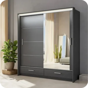 Stainless Steel Wardrobes with Mirrors