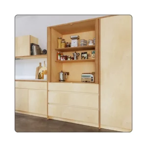 Plywood storage cabinets