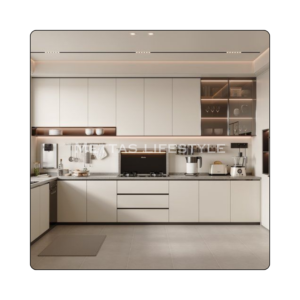 Stainless Steel Modular Kitchen